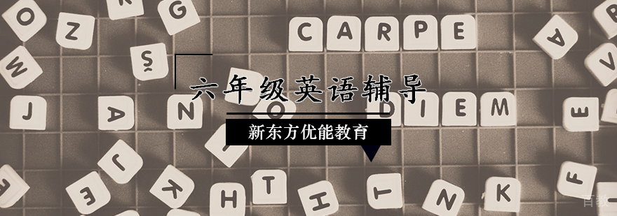 六年级英语专项辅导