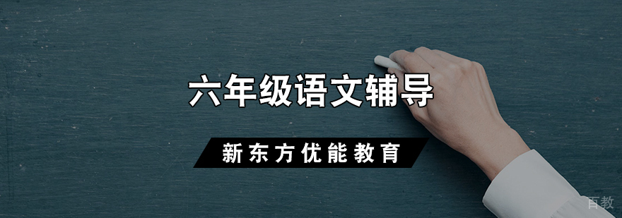 六年级语文辅导课程