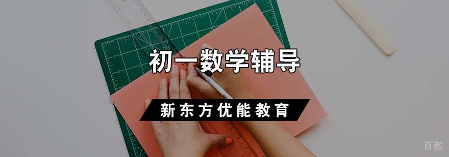 初一数学辅导