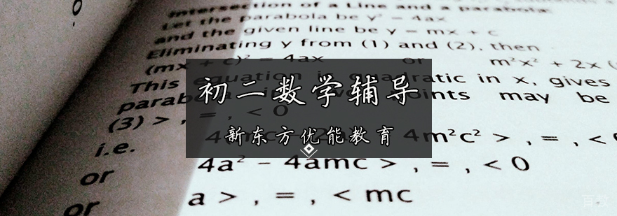 初二数学课程体系