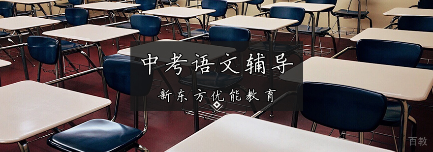 中考语文辅导
