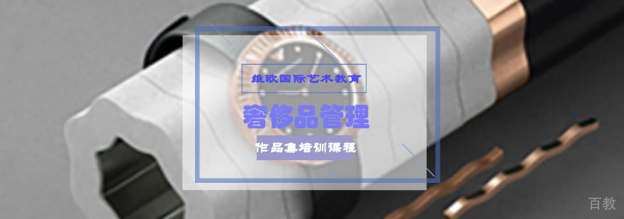 奢侈品管理作品集指导