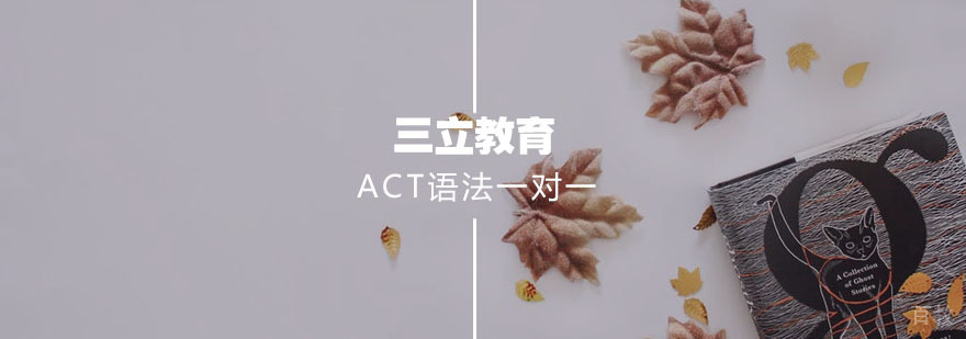 ACT语法专项特训