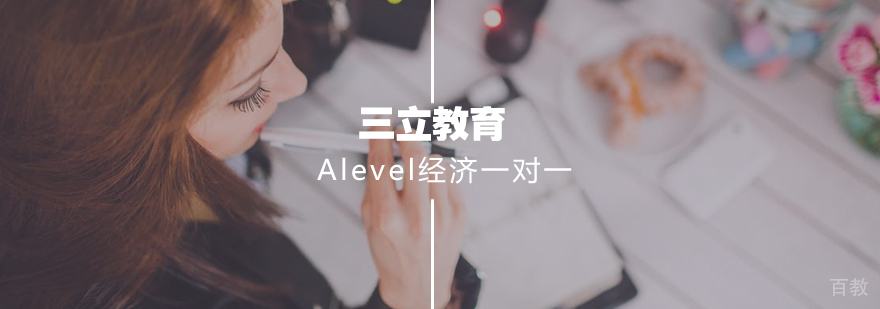 Alevel经济专项辅导