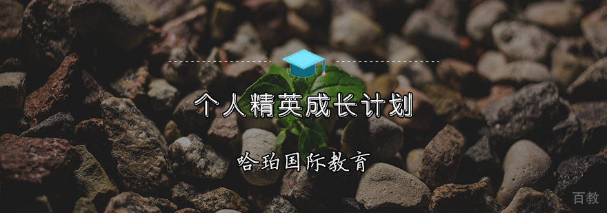 个性化教育方案
