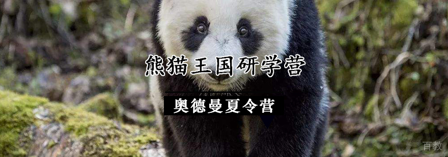 熊猫研学实践