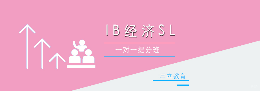 IB经济SL课程辅导