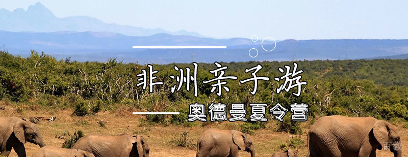 非洲亲子游