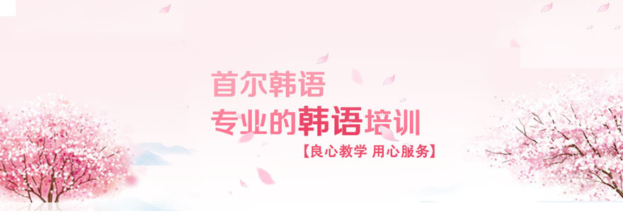 韩语教学环境