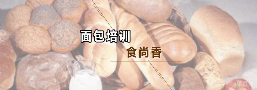 面包培训班