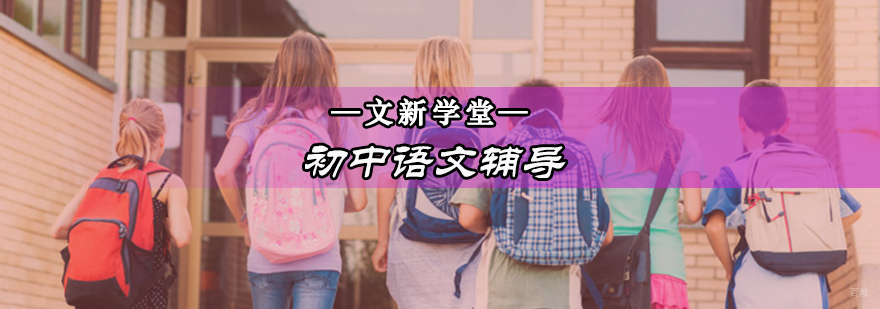 初中语文专项辅导课程