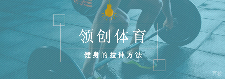 专业拉伸训练示意图