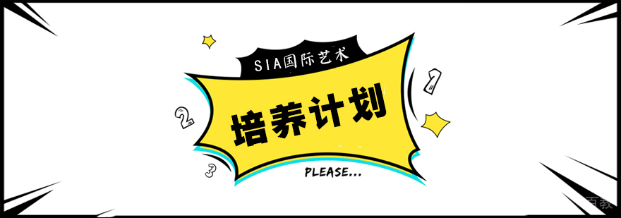 VIP精英培养计划