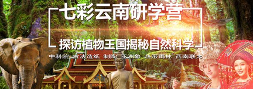 云南游学夏令营活动
