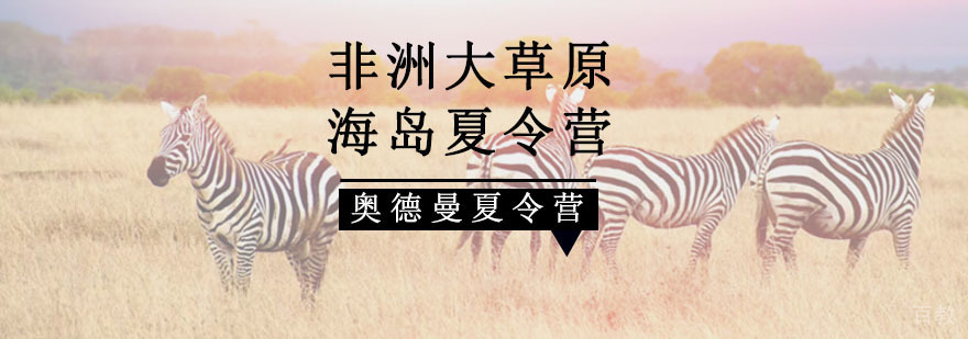 东非草原生态研学夏令营