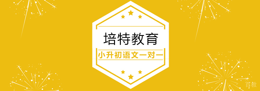 小升初语文专项辅导