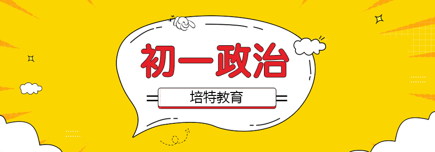 初中政治专项辅导课程