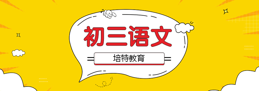 初三语文专项辅导课堂