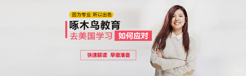 高端留学规划服务