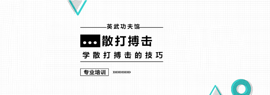 专业散打搏击技巧示范