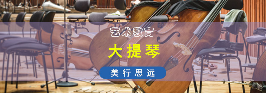 大提琴留学作品集指导
