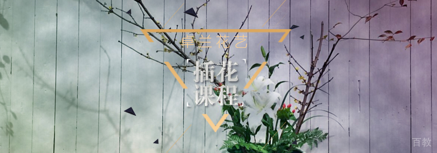 武汉插花系统课程