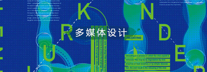 多媒体设计作品集展示