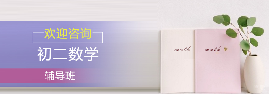 石家庄初中数学辅导
