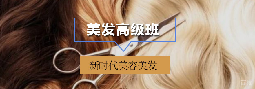 美发高级班课程