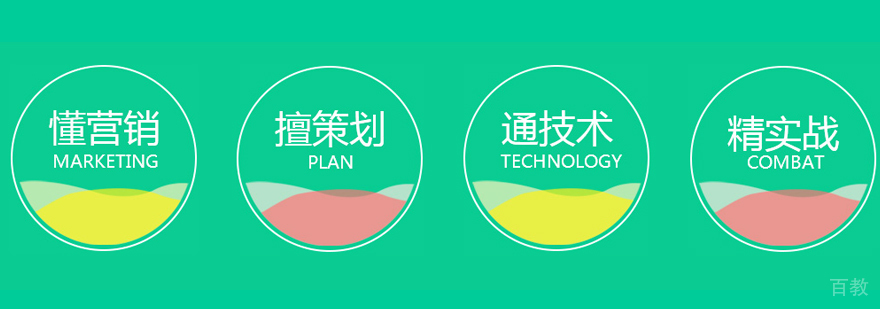 SEO实战教学