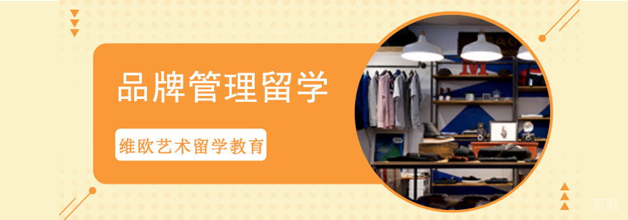 成都品牌管理留学作品集辅导