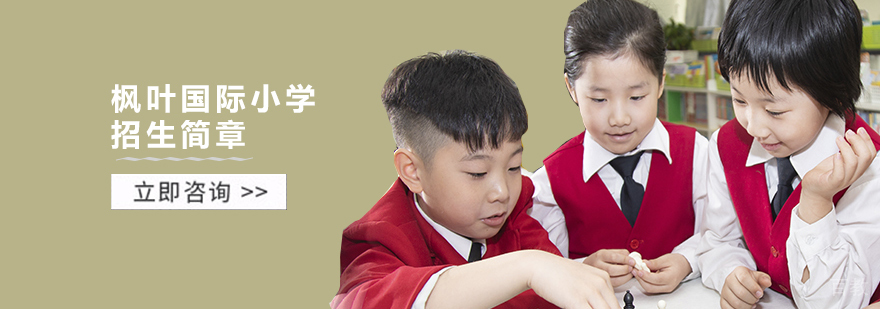 枫叶小学教学环境
