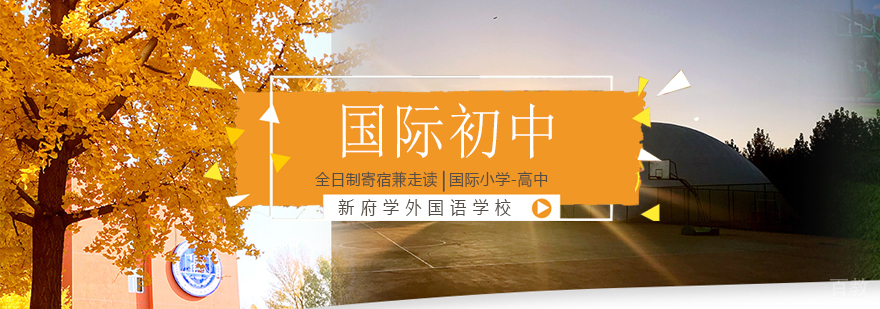 国际初中课程体系 小班教学特色 科学实验课堂