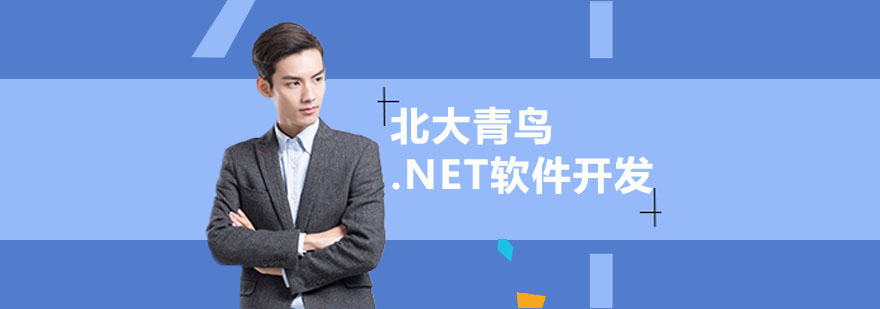 武汉.NET软件开发