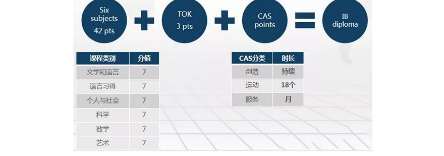 IB课程7分率分布