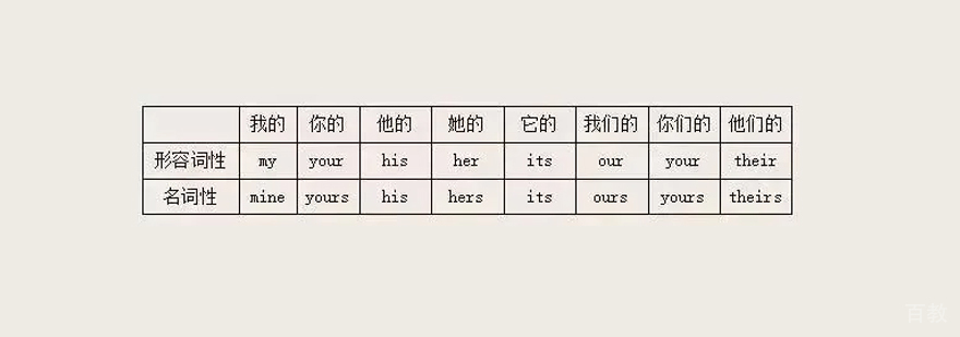 物主代词对比图示