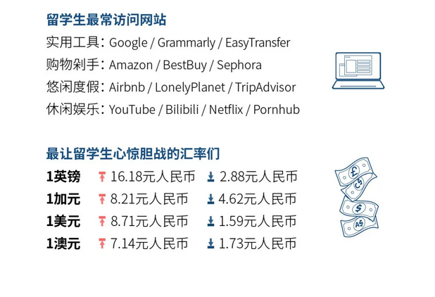 专业选择比例图