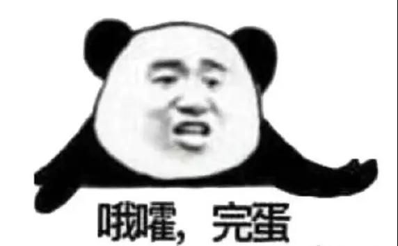 查重界面示意图