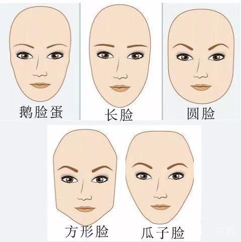 常见脸型示意图