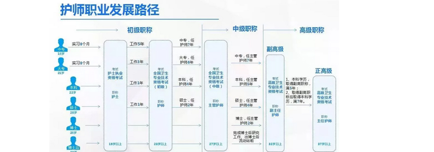 护士职业发展规划图