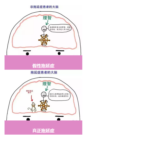 行为调节认知模型图示