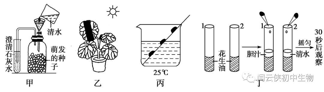 生物实验装置图示