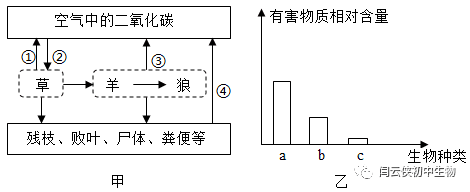 生态系统物质循环图