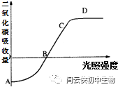 光照与二氧化碳吸收曲线