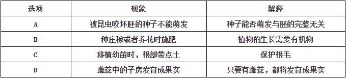 被子植物现象图