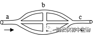 血管结构示意图