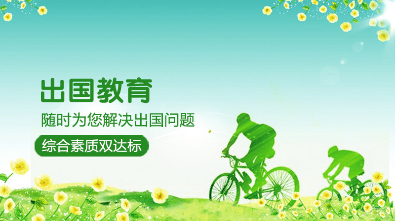 国际教育团队工作场景