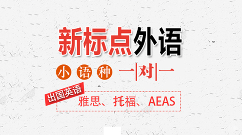 新标点外语教学环境