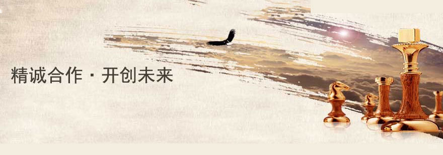  天津清晖项目管理