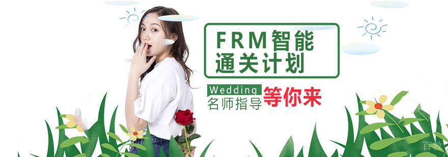 FRM认证体系解析